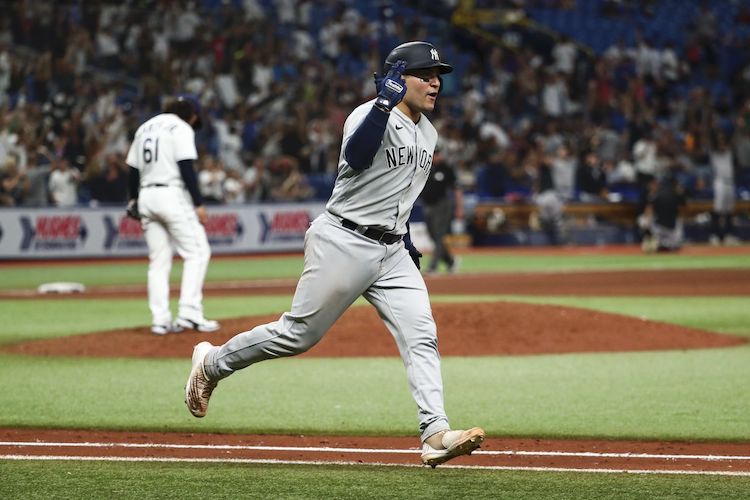 Jose Trevino adds to Yankees catching depth