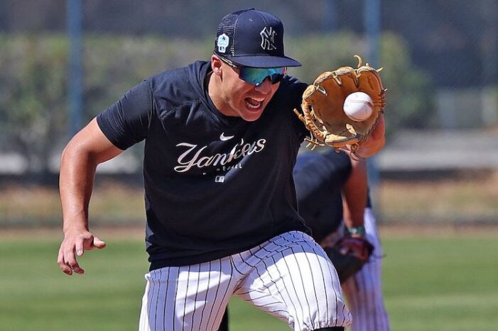 Yankees Thoughts: Anthony Volpe Provides Vigor to Old, Stale, Injured Roster